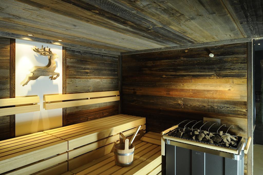 Hotel Alpina 4*